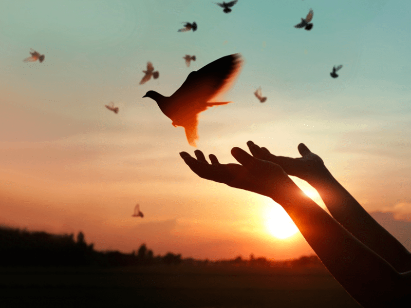 10 unique ways to remember your loved one on their death anniversary